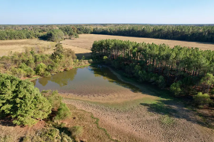 Salmon Road, Randolph, MS 38864 - #3