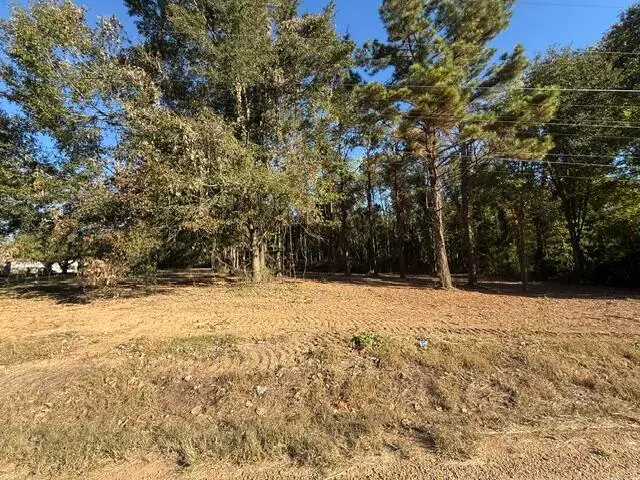 Tbd Spain Road, Ecru, MS 38841 - #2