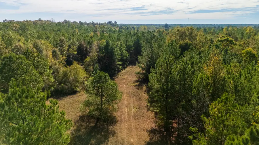 Little Coontail Road, Aberdeen, MS 39730 - #2