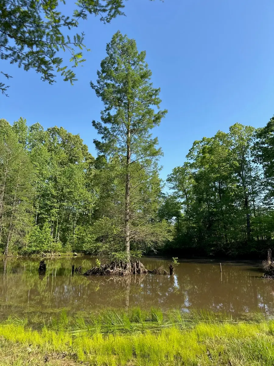 Co Rd 312, Tiplersville, MS 38674 - #2