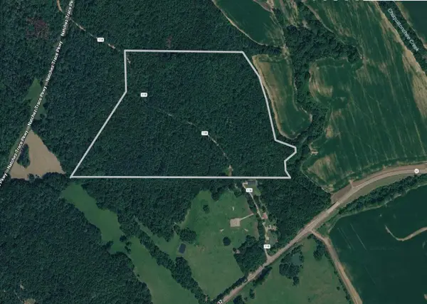 County Road 118, Houston, MS 38851