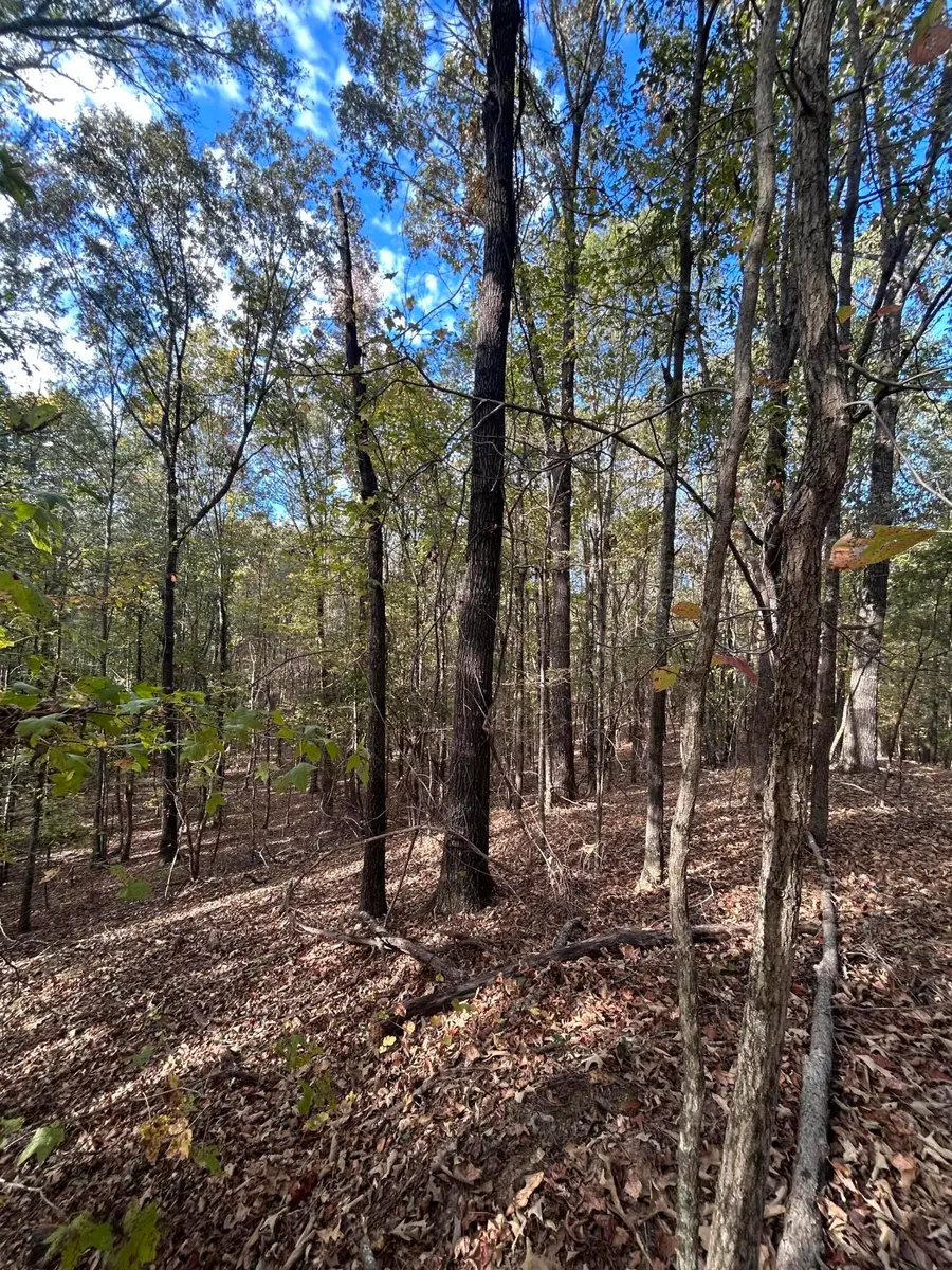 147 Hall St., Plantersville, MS 38862 - #3