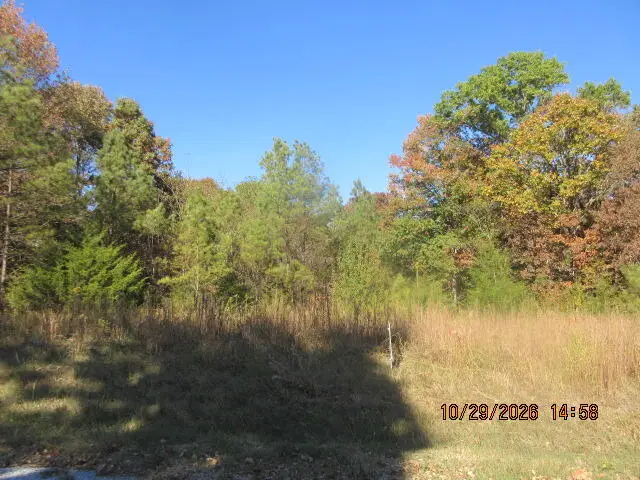 1460A Chapman Road, Pontotoc, MS 38863 - #2