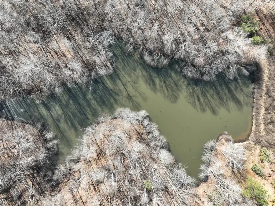 38.82 Ac Cr 157, New Albany, MS 38652 - #3