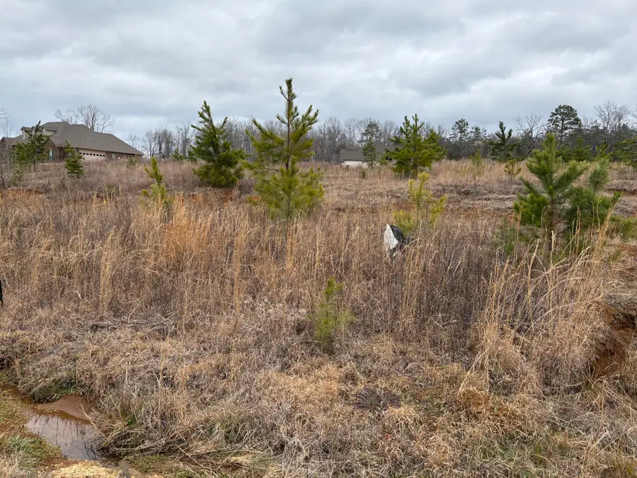 Cr 383 Lot 67, New Albany, MS 38652 - #2