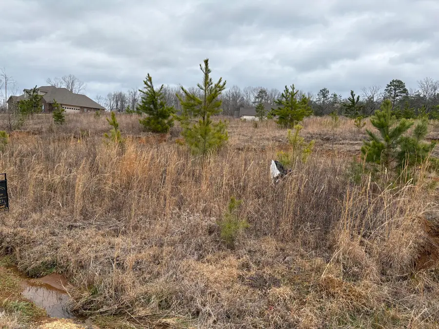 Cr 383 Lot 67, New Albany, MS 38652 - #3