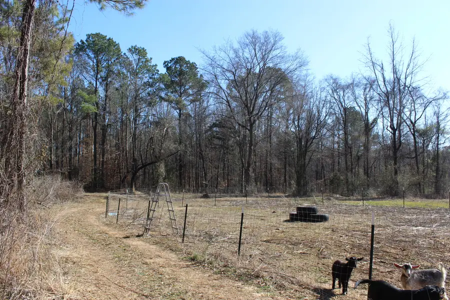 420 Clay-tilden Road, Fulton, MS 38843 - #2