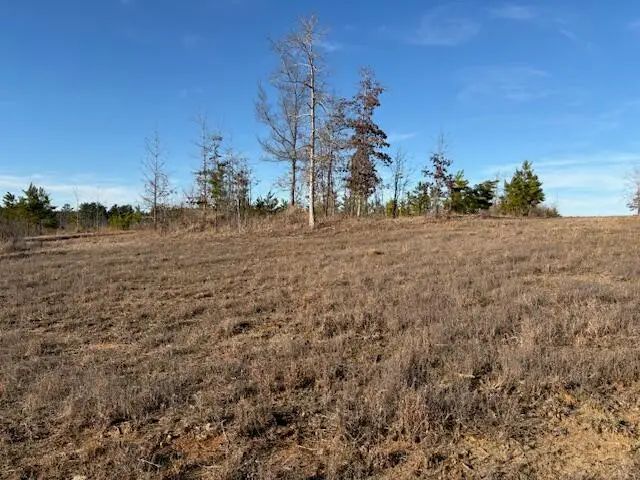 490 Road 1253(lot 5), Saltillo, MS 38866 - #3