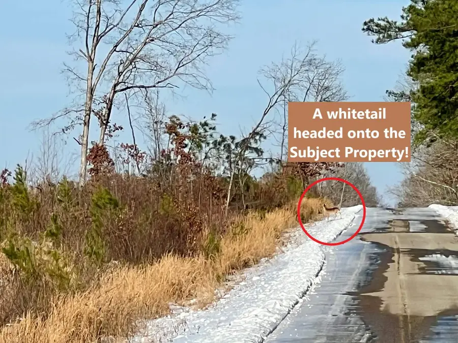 Rockport Mcillwain Rd, Holladay, TN 38341 - #2