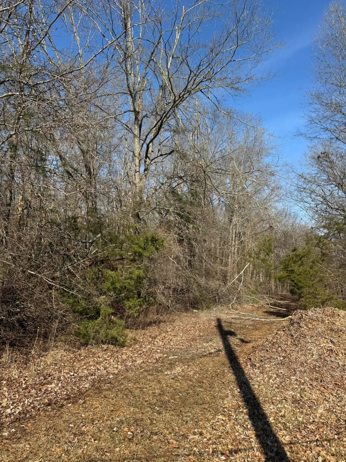 New Hope, Corinth, MS 38834 - #1