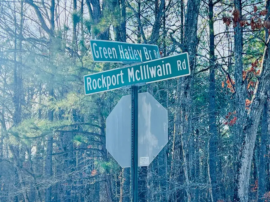 Green Hatley Branch Rd, Holladay, TN 38341 - #2