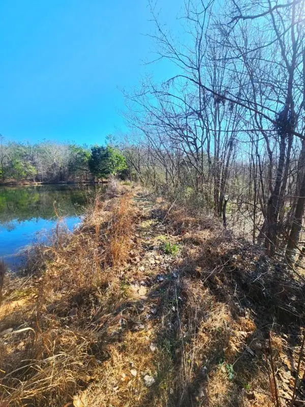 28.7 ac Bridgman Loop, Pontotoc, MS 38863 - #3