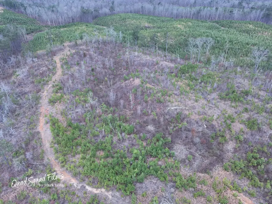 149 Cr 5091 Cr., Booneville, MS 38829 - #3