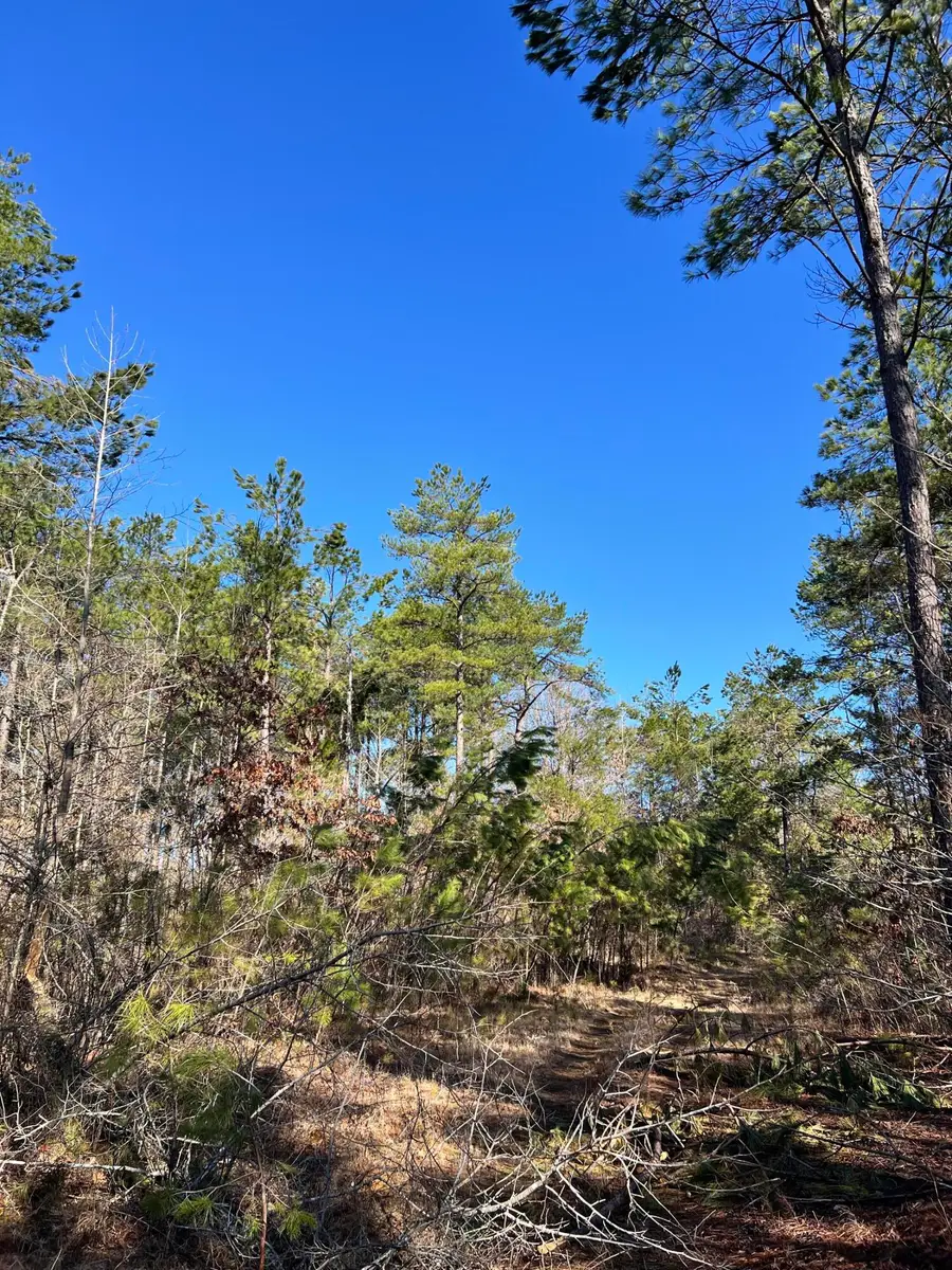 Cr 260, Bruce, MS 38915 - #3