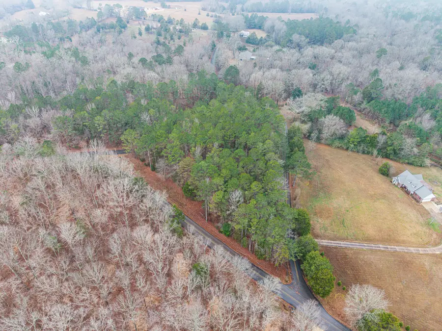 49 County Road 19, Belmont, MS 38827 - Image #3