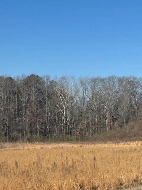 Chesterville Rd Rd, Tupelo, MS 38801 - #3