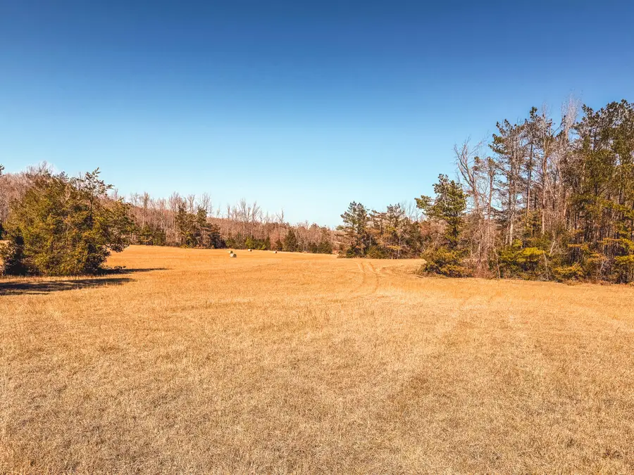 County Road 702, Corinth, MS 38834 - #2