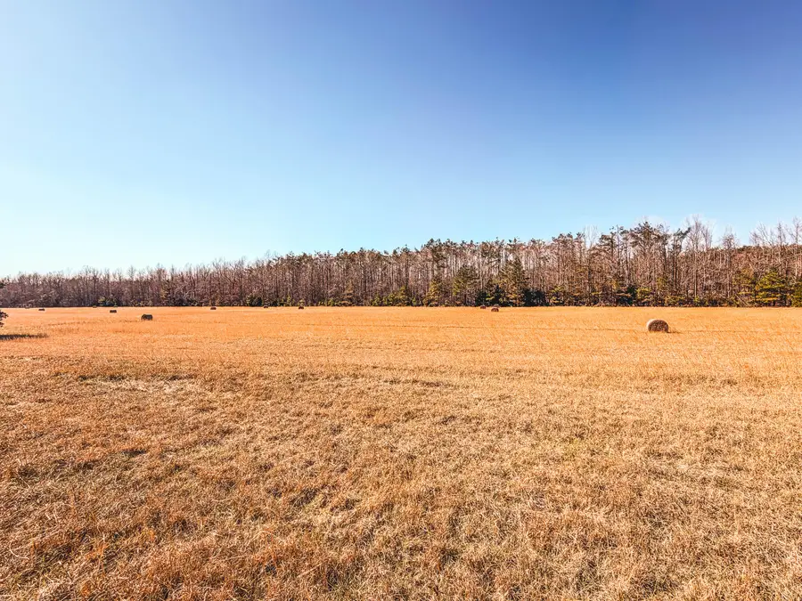 County Road 702, Corinth, MS 38834 - #3