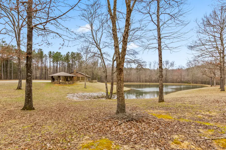 60048 Hathcock Road, Smithville, MS 38870 - #2