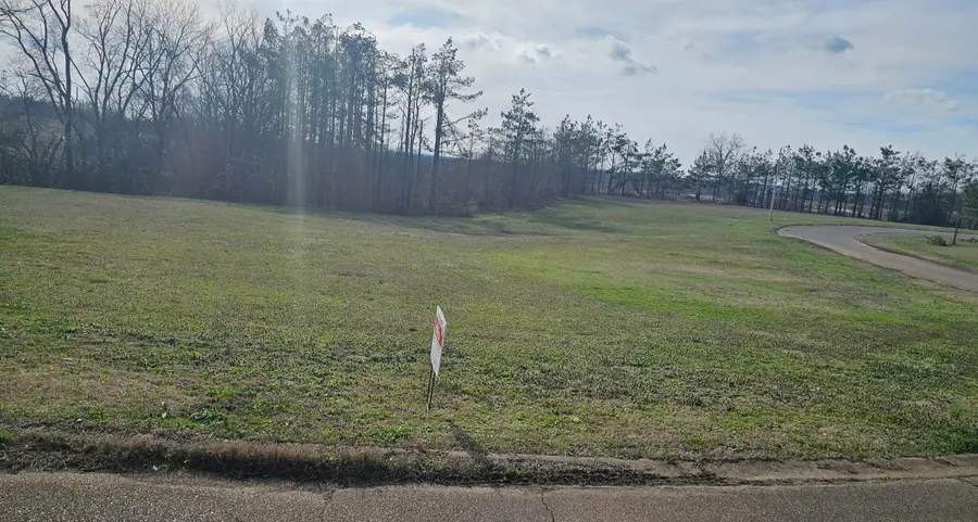 Lot 20 Mount View Dr, Corinth, MS 38834 - #2