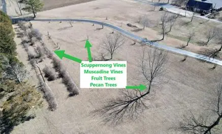 1817 9th St., Booneville, MS 38829 - Image #2