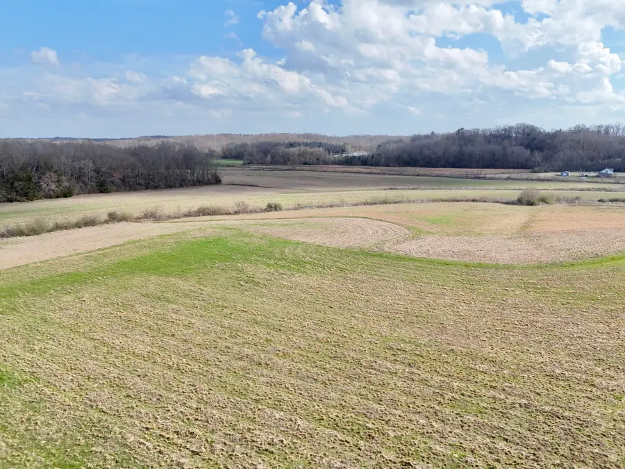 Center Hill Rd, Ecru, MS 38841 - #3