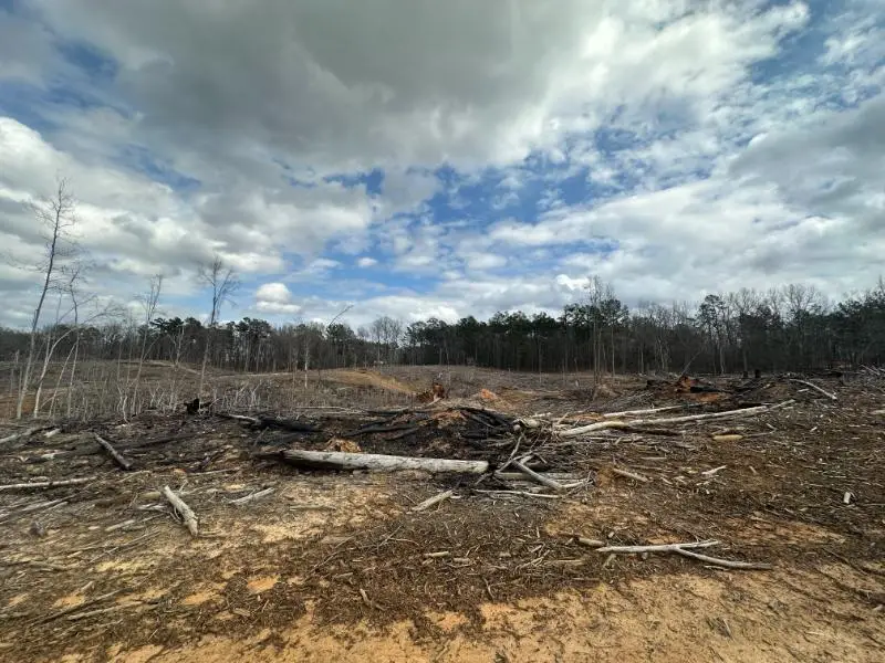 88 County Road 5345, Baldwyn, MS 38824 - #3