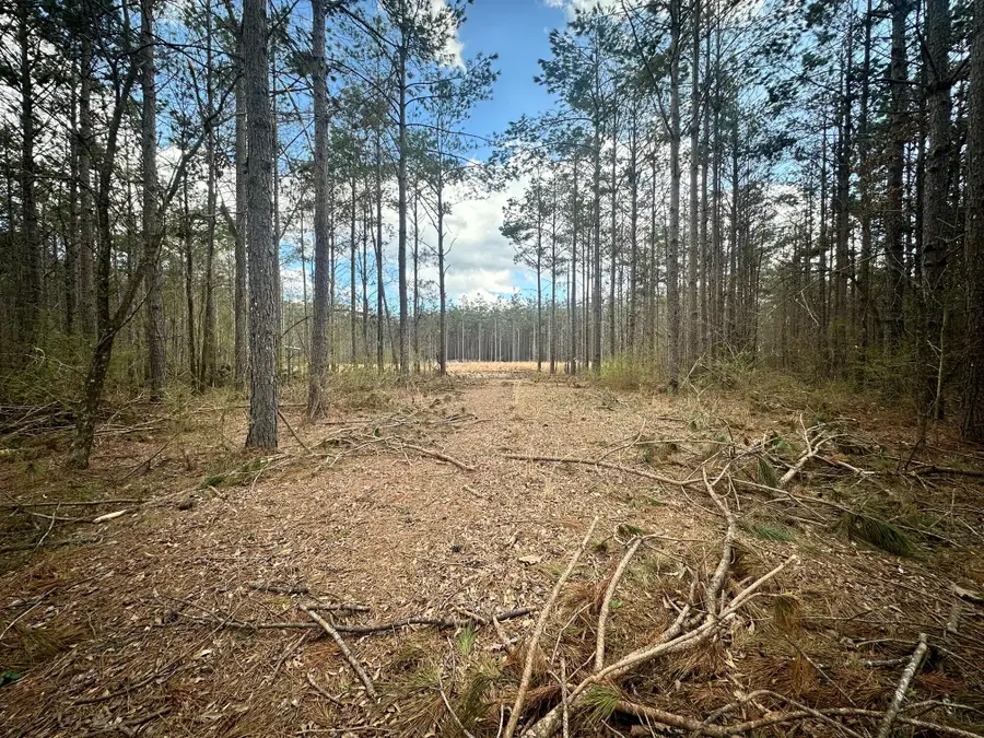 Coleman Rd, Thaxton, MS 38871 - #2