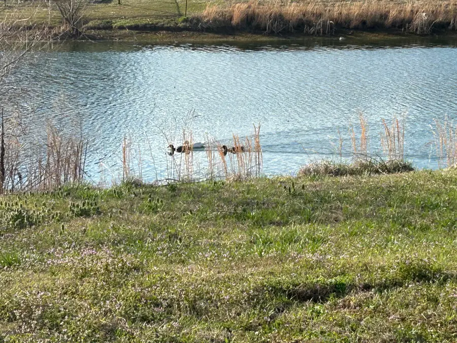 72 O'neil St., Ecru, MS 38841 - #2