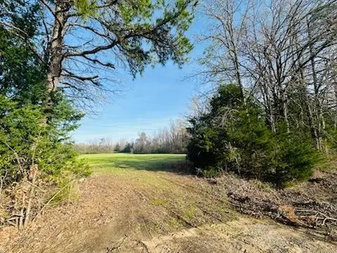 TBD Lot 1 Lafayette Springs Rd, Thaxton, MS 38871