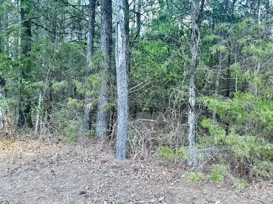 Little Coontail Rd, Aberdeen, MS 39730 - #2