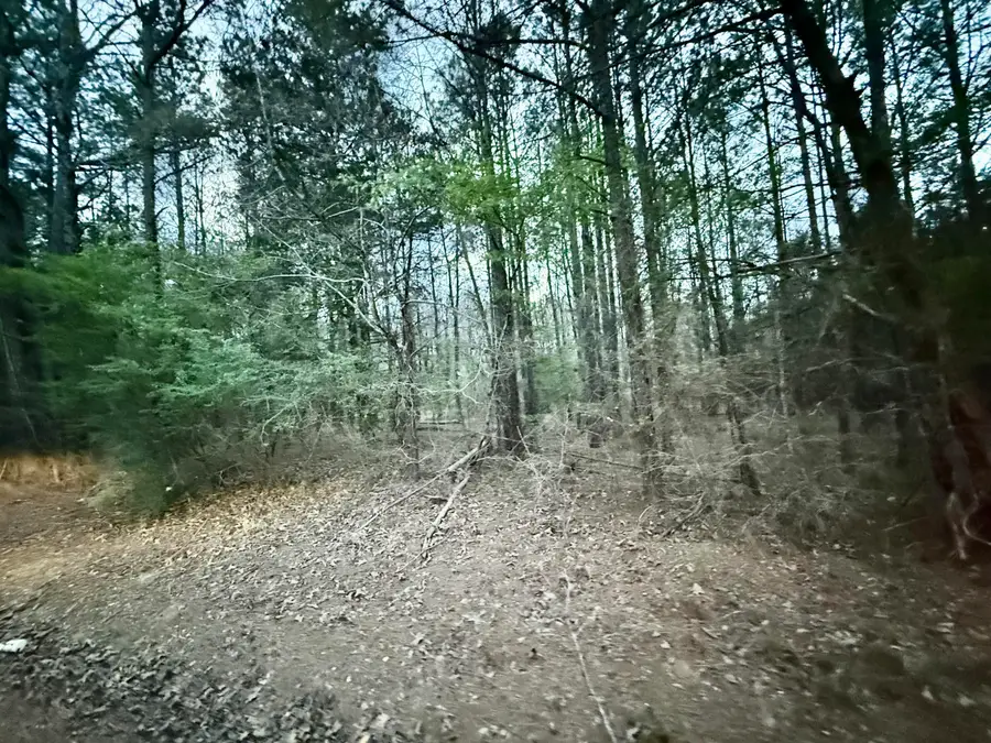 Little Coontail Rd, Aberdeen, MS 39730 - #3