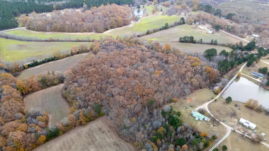 Hwy 336, Pontotoc, MS 38863 - #3