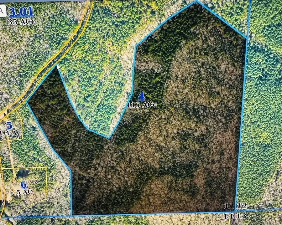 TBD Cr 255, Thaxton, MS 38871 - #2