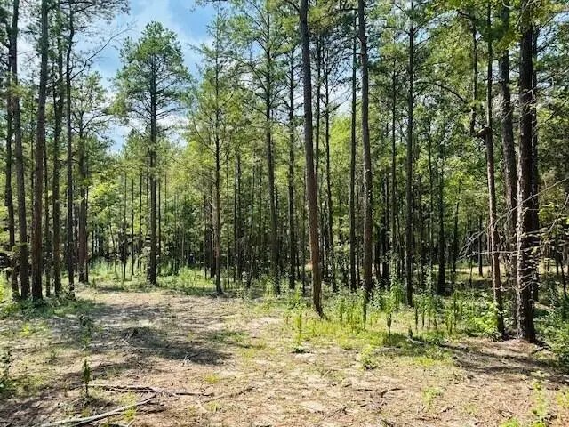 TBD Cr 255, Thaxton, MS 38871 - #3