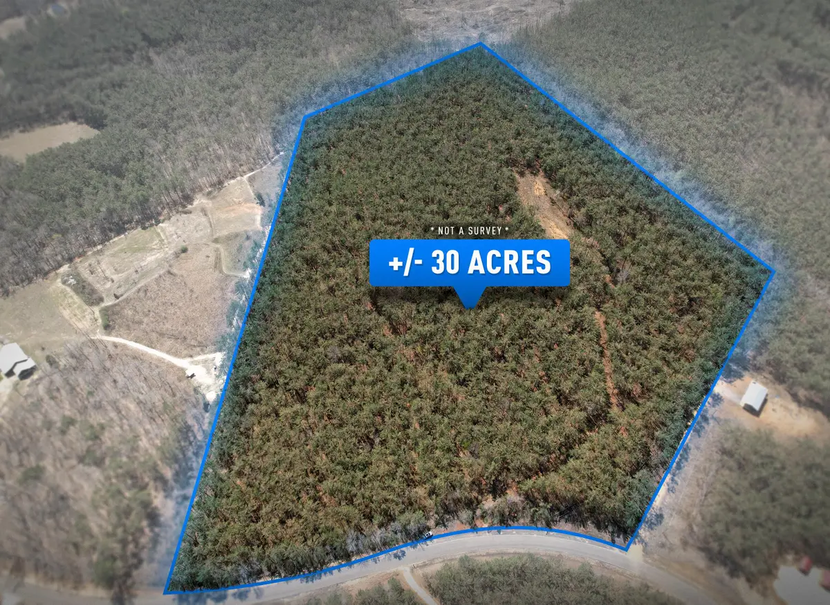 County Road 231, Iuka, MS 38852 - #1