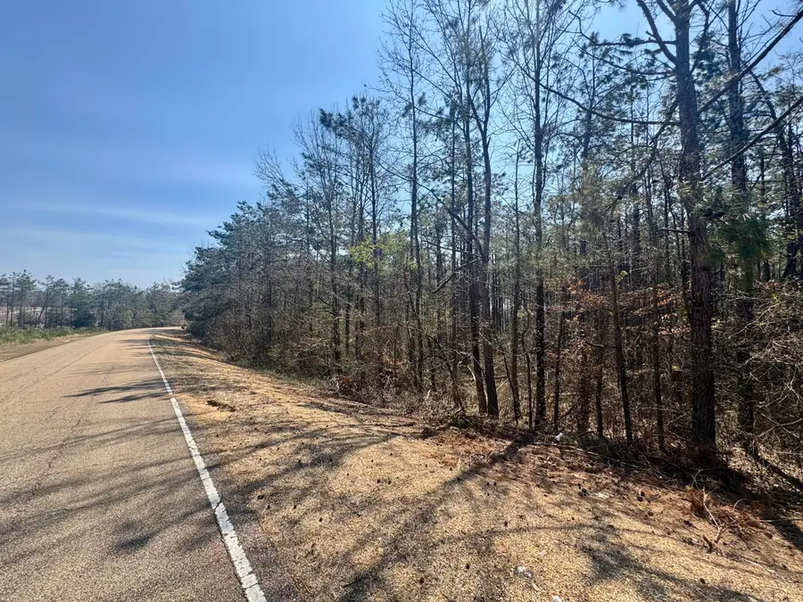 County Road 231, Iuka, MS 38852 - #2