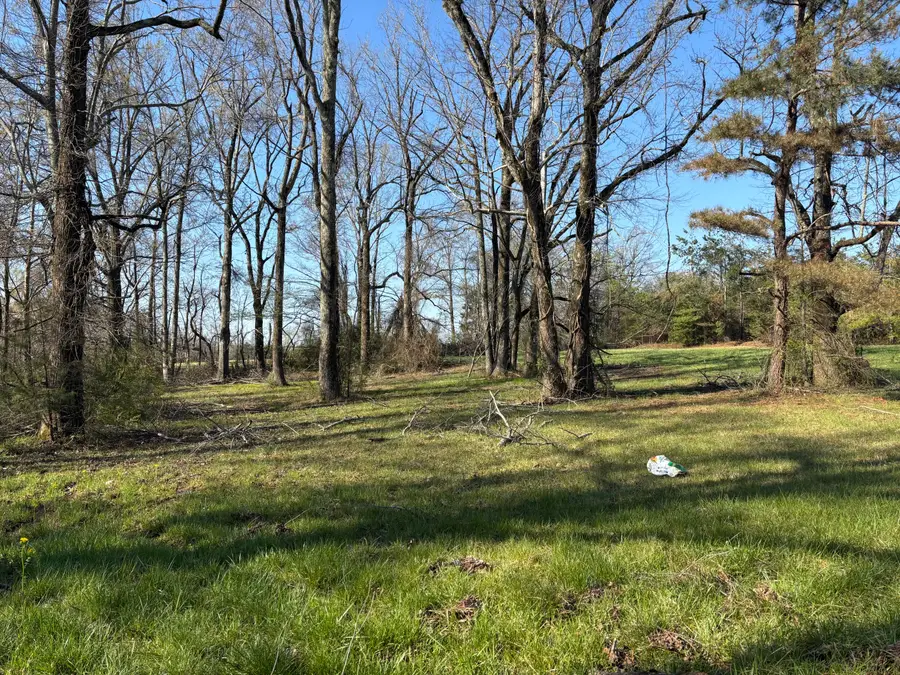 1033 County Road 342, New Albany, MS 38652 - #2