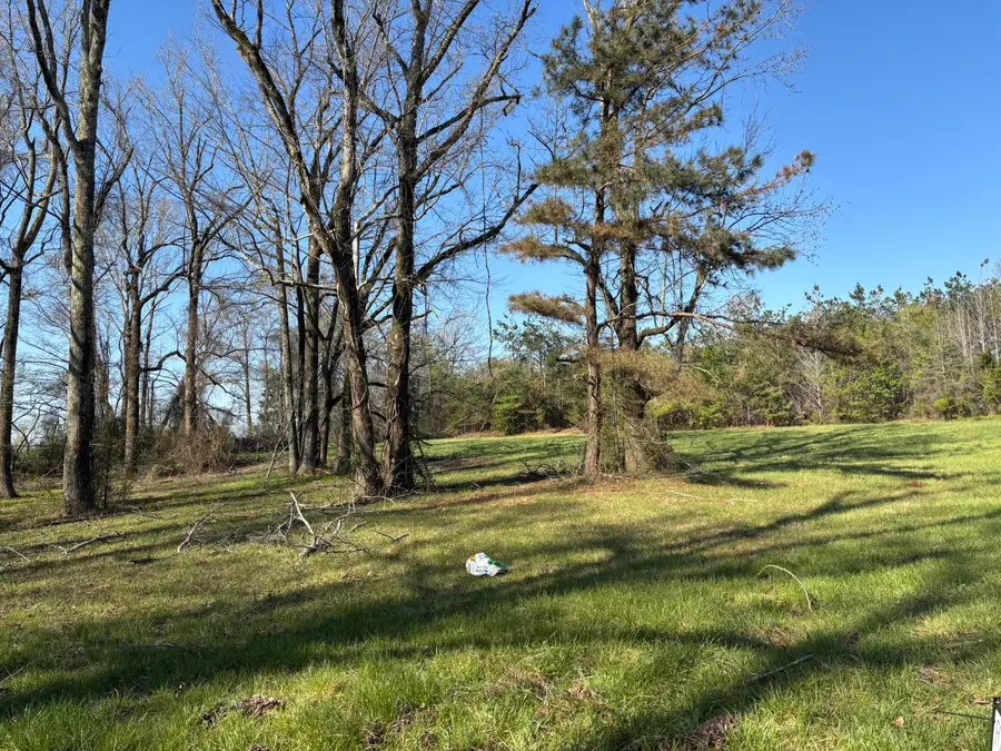 1033 County Road 342, New Albany, MS 38652 - #3