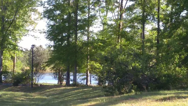 Lot25 Winding Vale Drive, Poplarville, MS 39470 - #2