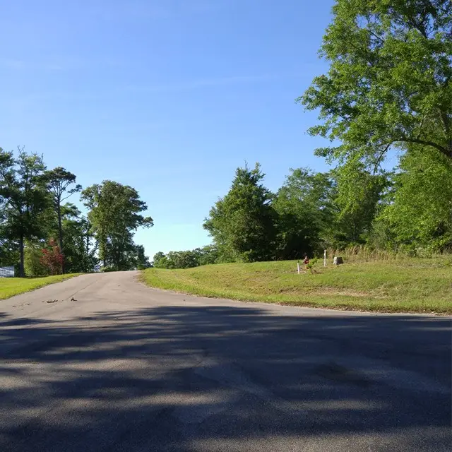 Lot42 Fallen Leaf Dr, Poplarville, MS 39470 - #2