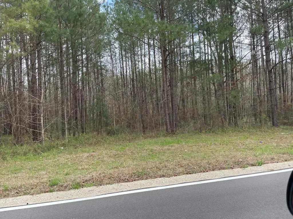 000 hwy 43, Poplarville, MS 39470 - #1