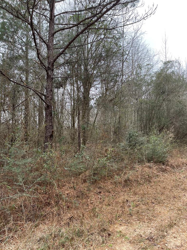 139 Lakeshore, Lumberton, MS 39455