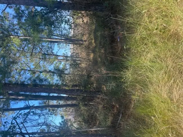 NHN Everest Street, Bay Saint Louis, MS 39520 - #3