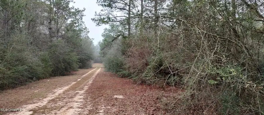 NHN Laura St. Lot 88, Lumberton, MS 39455 - Image #2