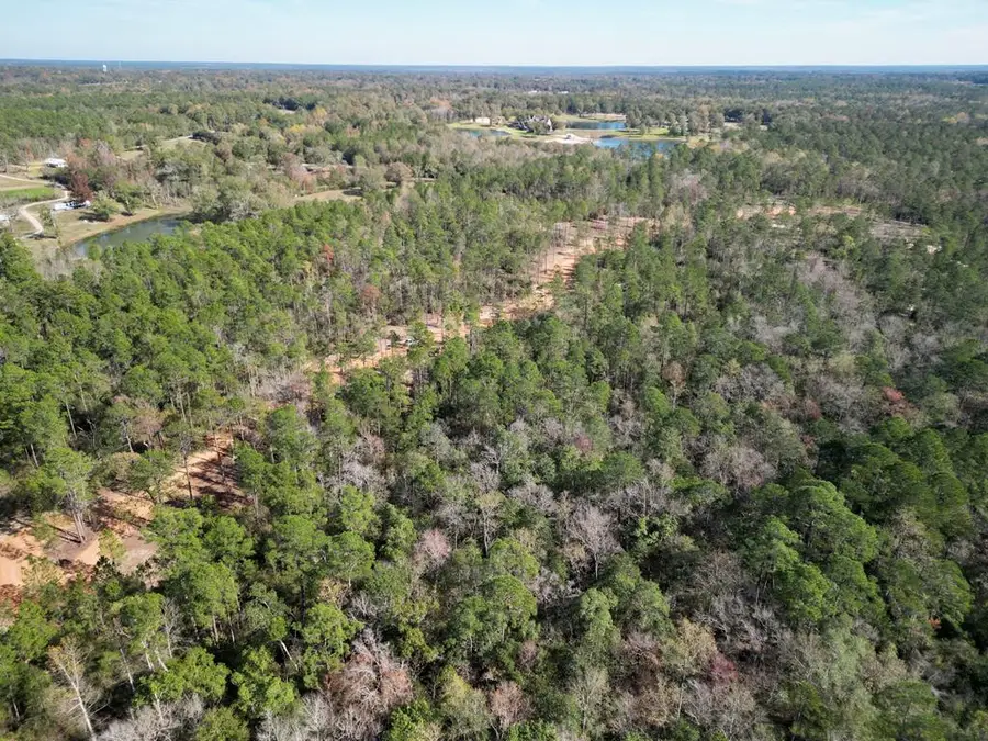 Lot 10 Ricochet Ridge, Poplarville, MS 39470 - Image #3