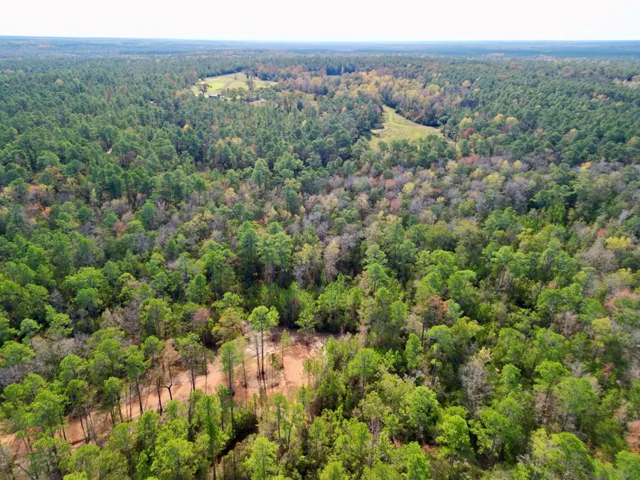 Lot 11 Ricochet Ridge, Poplarville, MS 39470 - Image #2