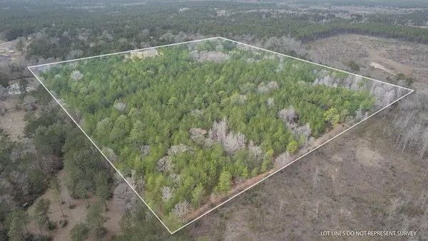 42 Acres C Brown, Lumberton, MS 39455
