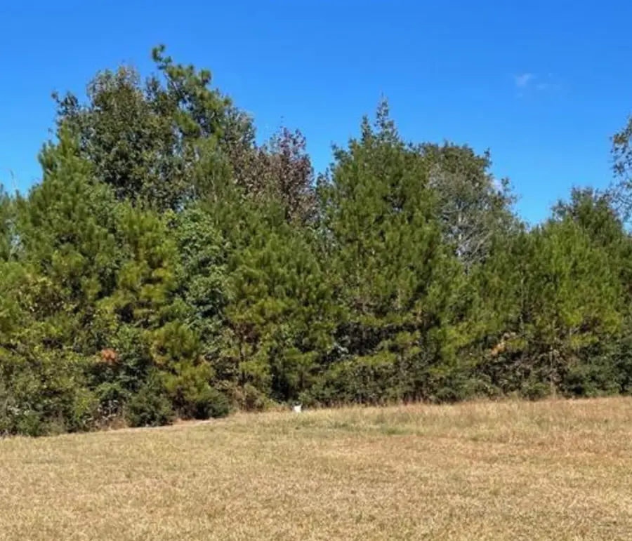 6A HWY 11/ Burgetown, Carriere, MS 39426 - #3