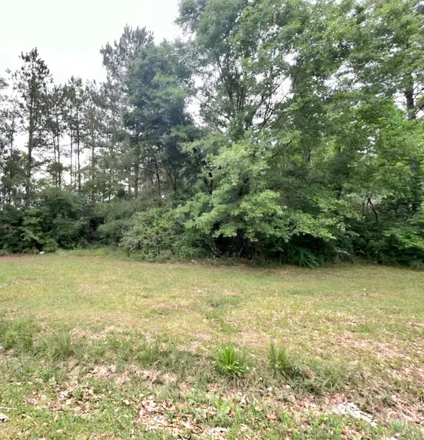 00 Chilton Lane, Picayune, MS 39466